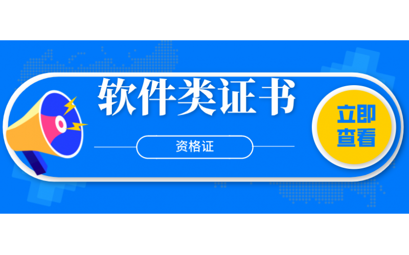 软件类证书