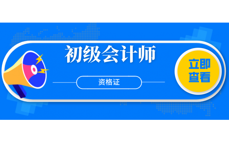 初级会计师